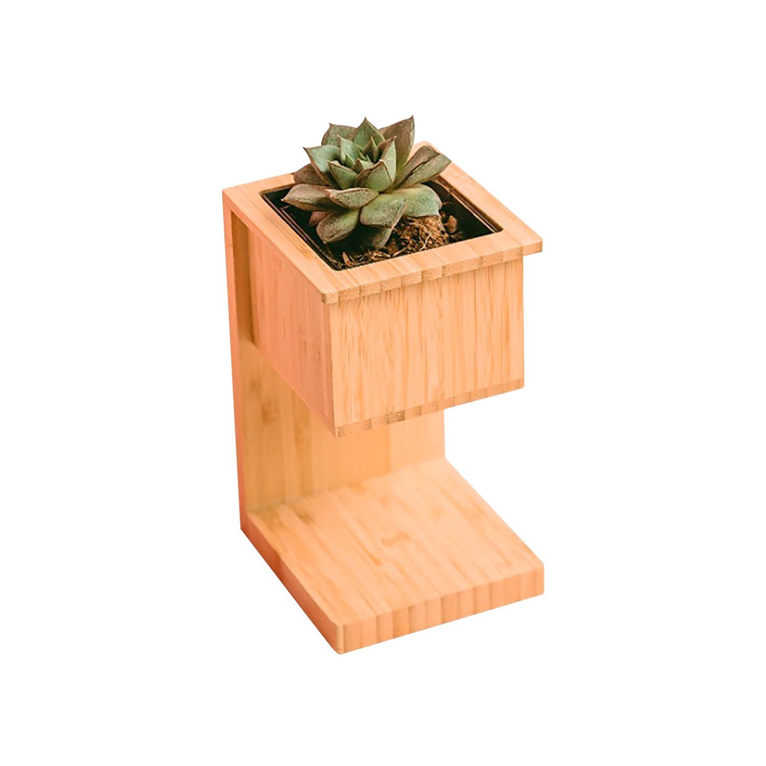 Wangari Alder Wireless Charger with Planter